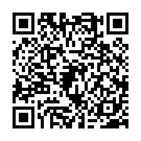 QR code for RAP0110