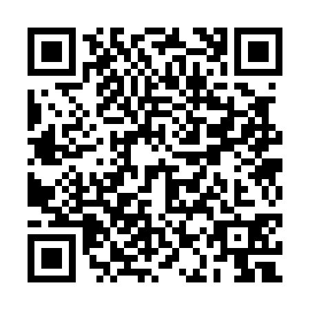 QR code for RAS0308