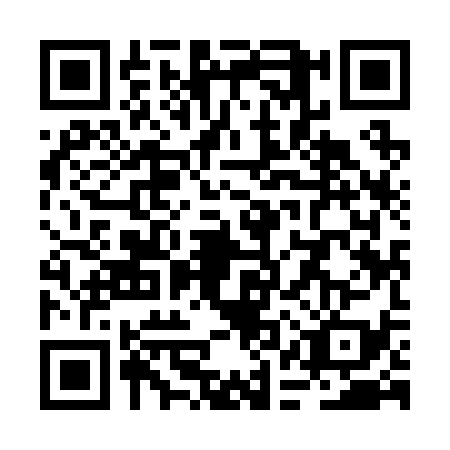 QR code for RAY2392