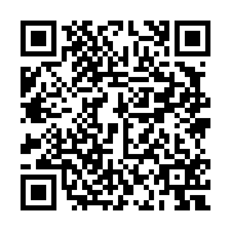 QR code for RAY4162