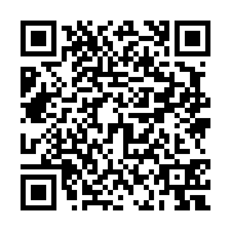 QR code for RAY4300