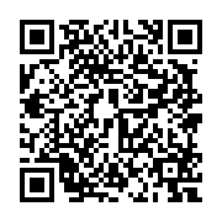 QR code for RAY4866