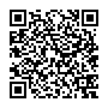 QR code for RDZ6381