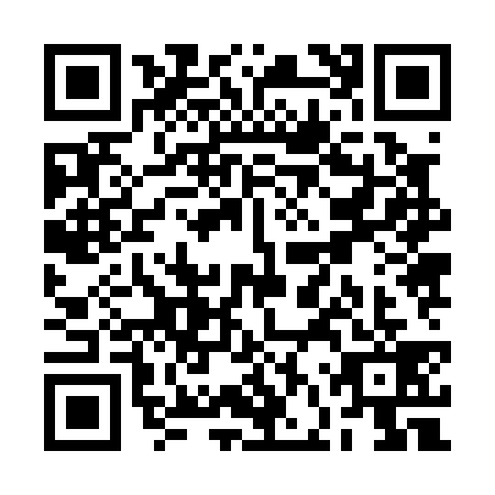 QR code for RFZ0399