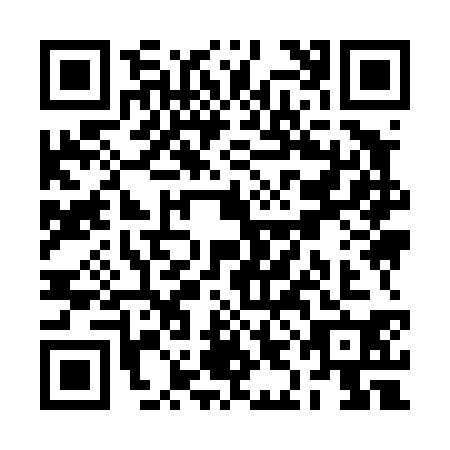 QR code for RII4306