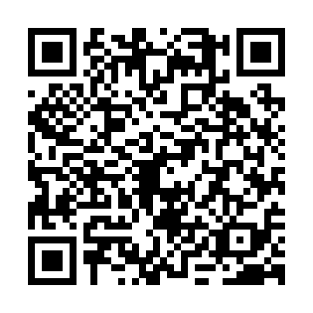 QR code for RIM2196