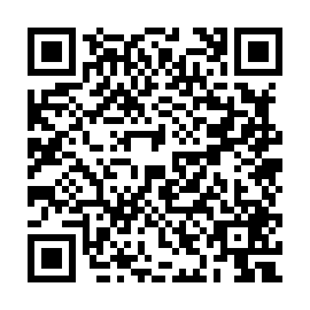 QR code for RIO8493