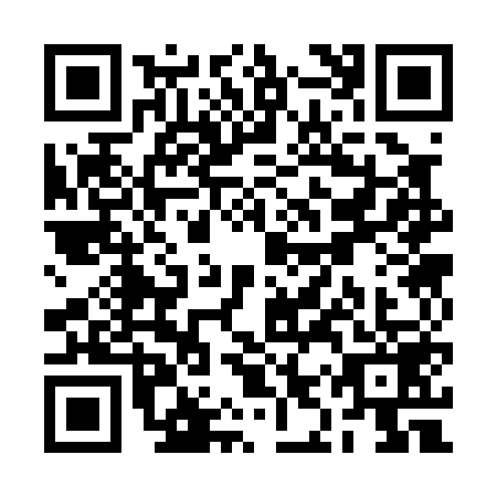 QR code for RIS0598