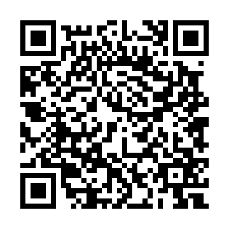 QR code for RIT0667