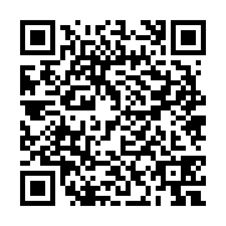QR code for RIZ6388