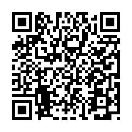QR code for RMP4498