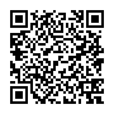 QR code for ROX5383