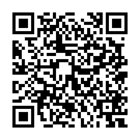 QR code for RPA0493