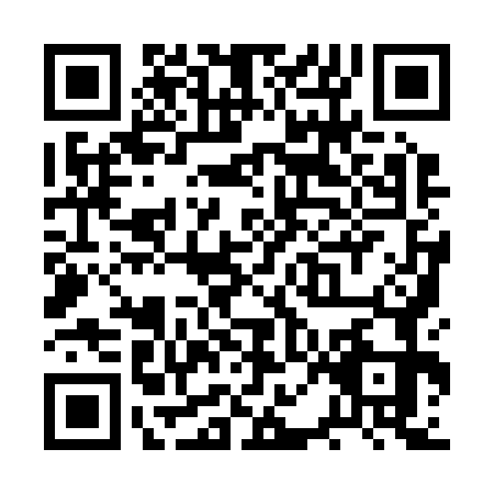 QR code for RPI2739