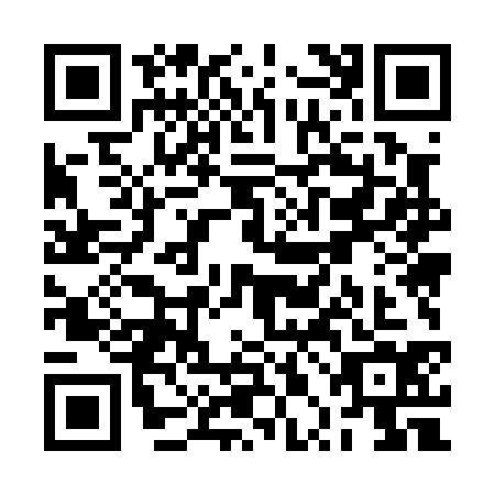 QR code for RPM0341