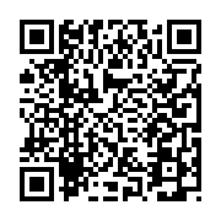 QR code for RPP2494