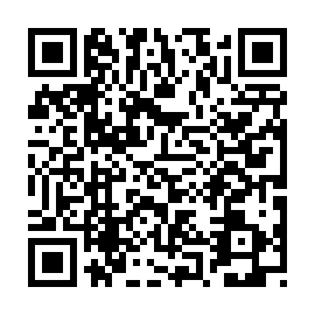 QR code for RPP4238