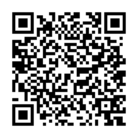 QR code for RPZ7729