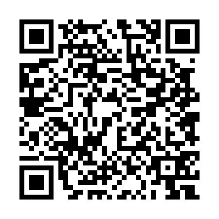 QR code for RQD0729