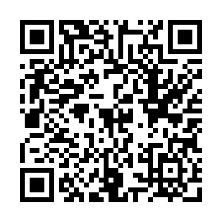 QR code for RSO3868