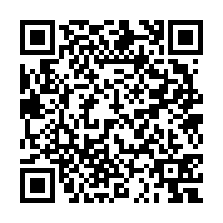 QR code for RSS6313
