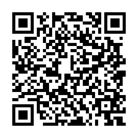 QR code for RTX0447