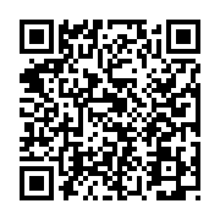 QR code for RYN6295