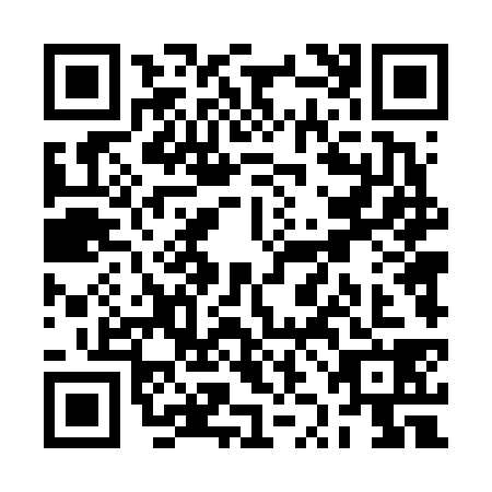 QR code for RZD6385