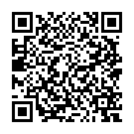 QR code for RZI4666