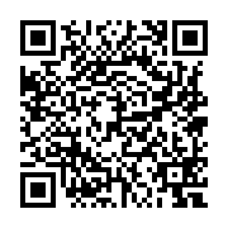 QR code for RZQ9995
