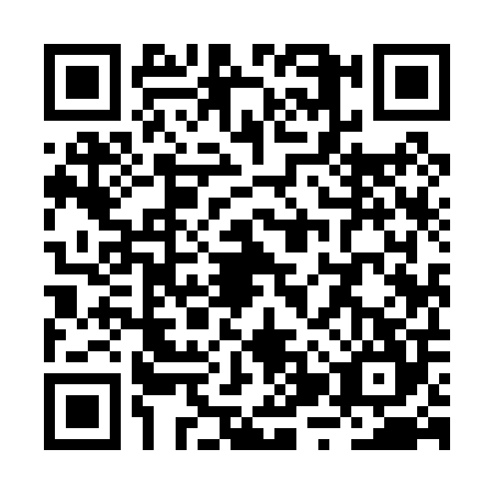 QR code for RZY0049
