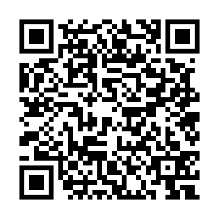 QR code for SAG5333