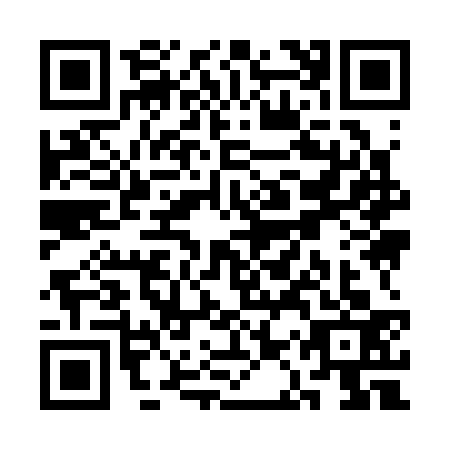 QR code for SAY3336