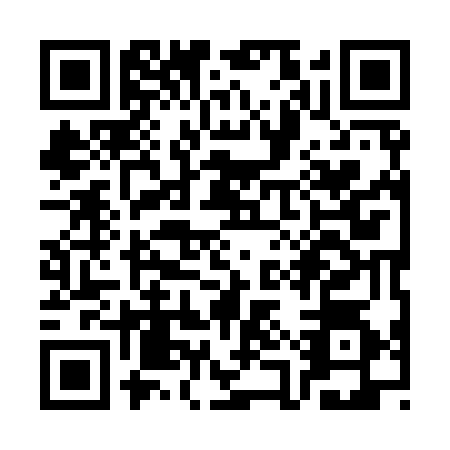 QR code for SAY9741