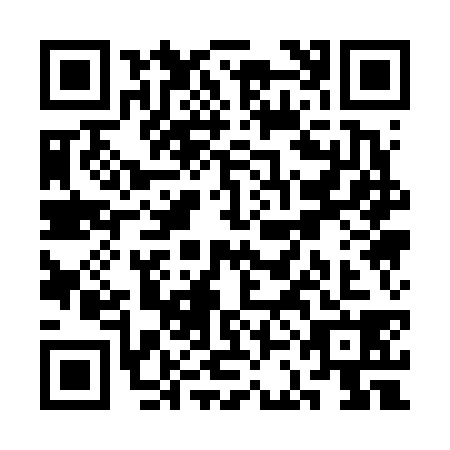 QR code for SCA6385