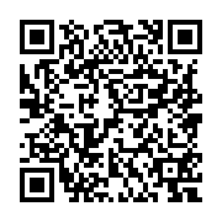QR code for SDX9501