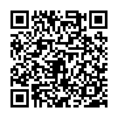 QR code for SFN2450