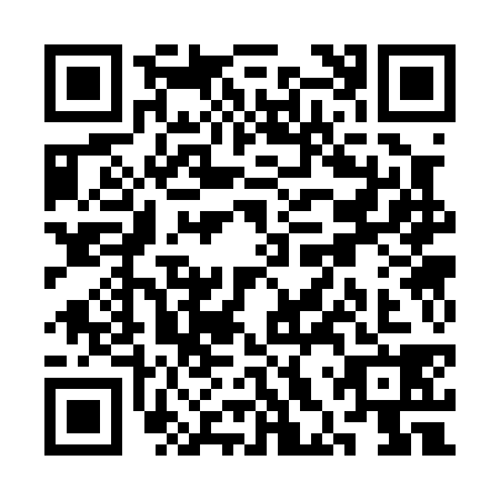 QR code for SHS0384