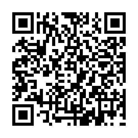 QR code for SII3961