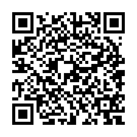 QR code for SIN2146