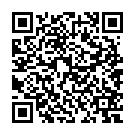 QR code for SIN6038