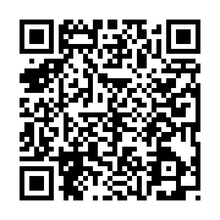 QR code for SJI4378