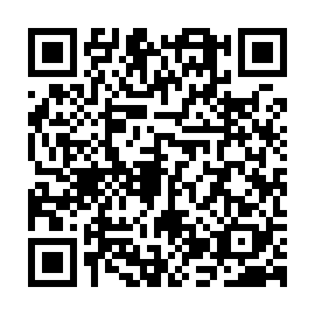 QR code for SJY9289