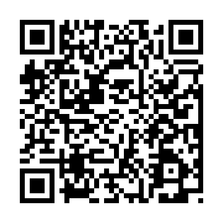 QR code for SKG0955