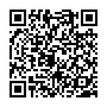 QR code for SKI2399