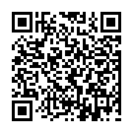 QR code for SLV8411
