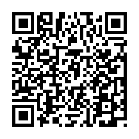 QR code for SMG0493