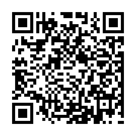 QR code for SMG9385