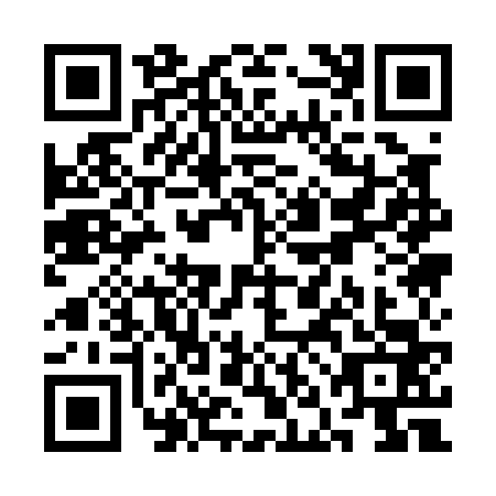 QR code for SNA0638