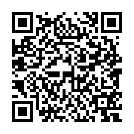 QR code for SNL6541